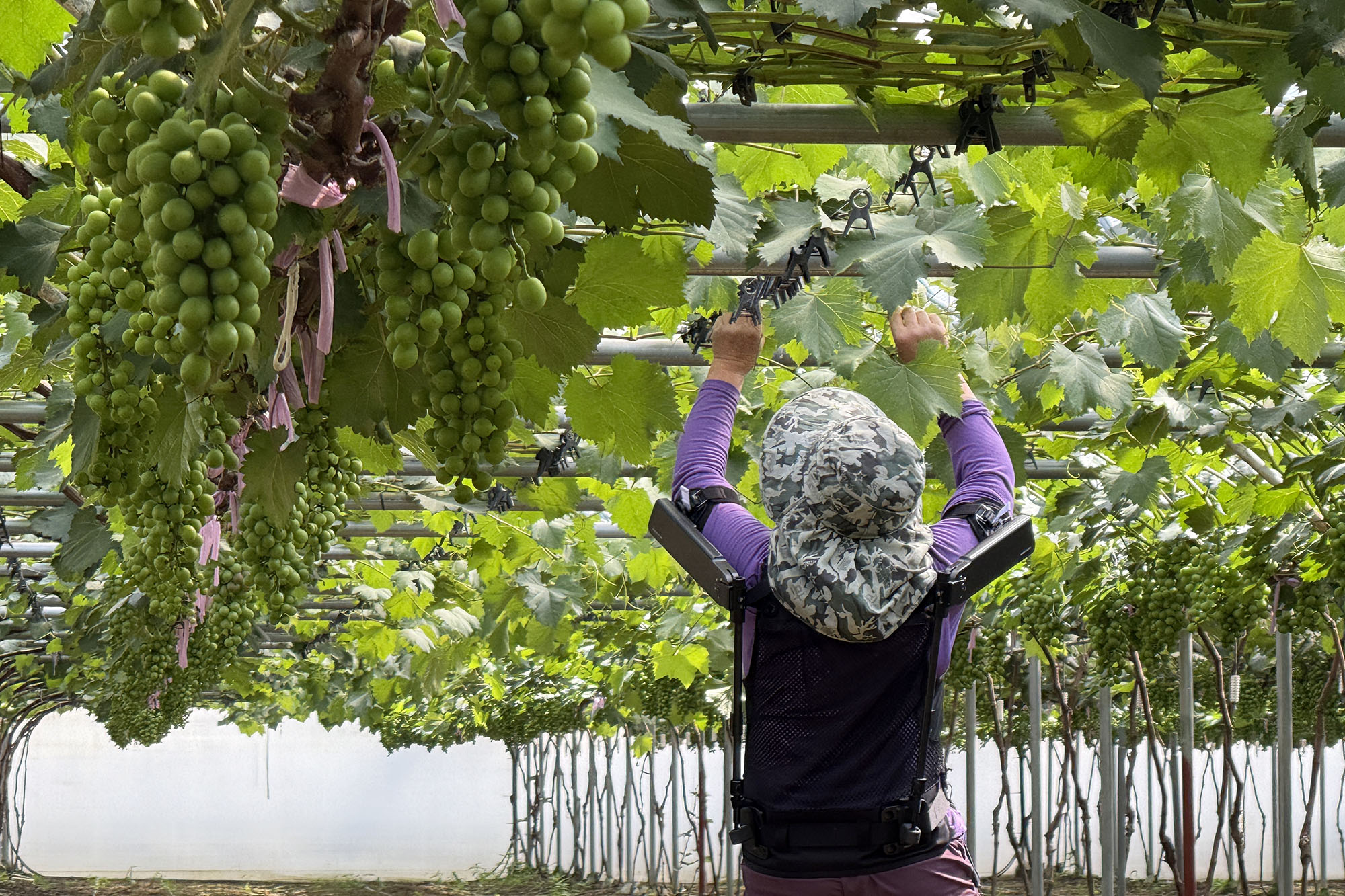 Hyundai X-ble Shoulder