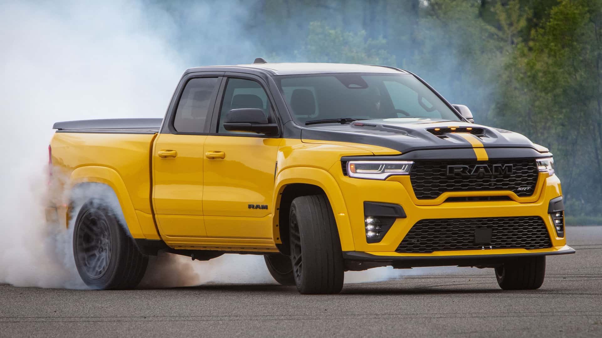 Rumble Bee
