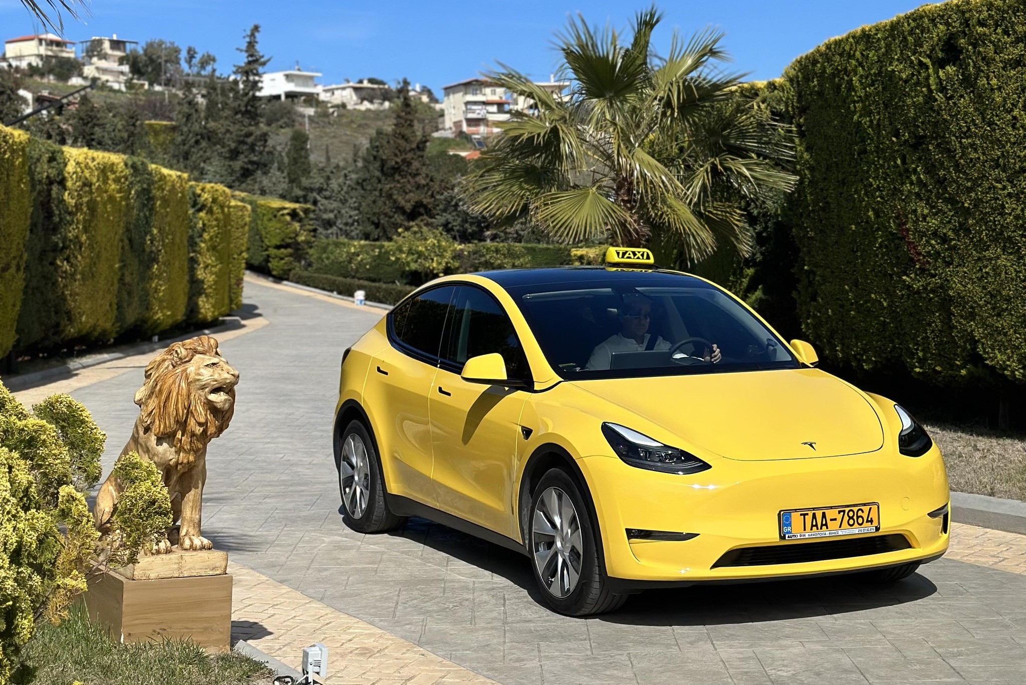 Model Y