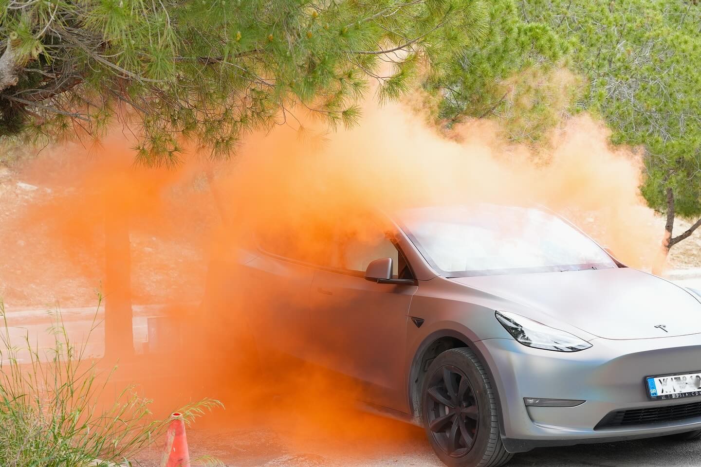 Model Y