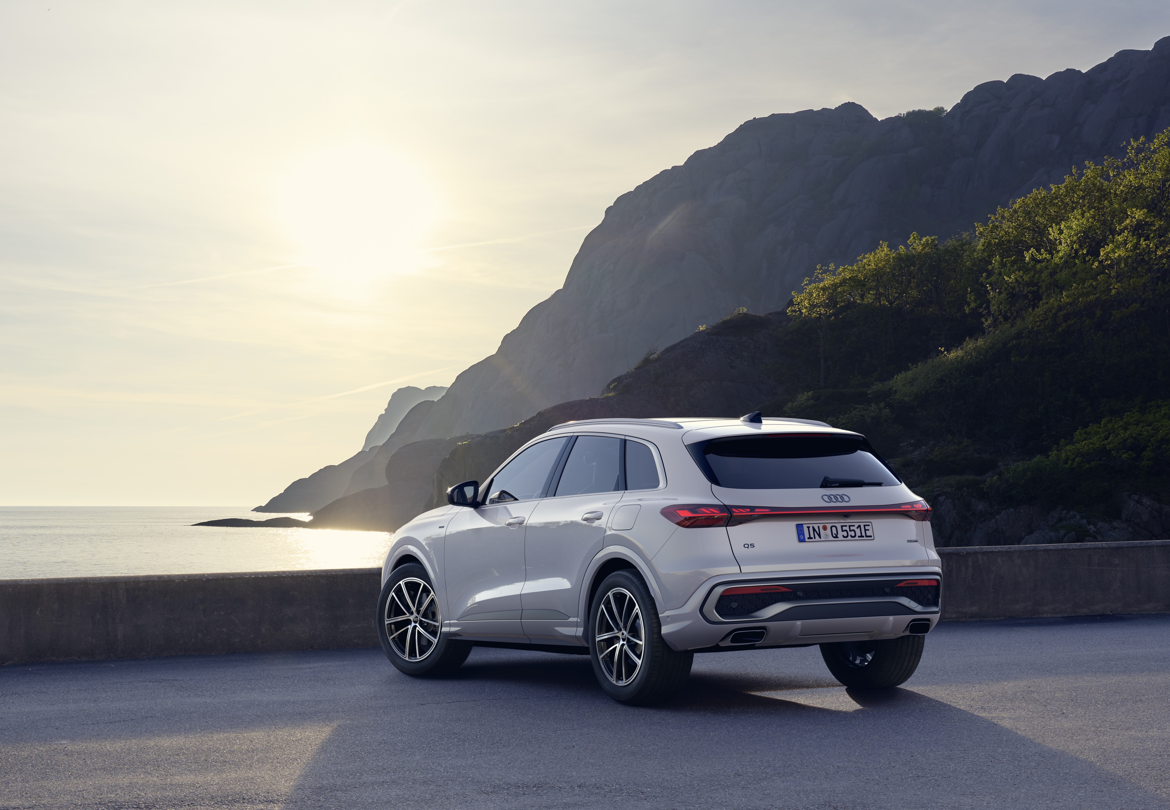Audi Q5 e-hybrid