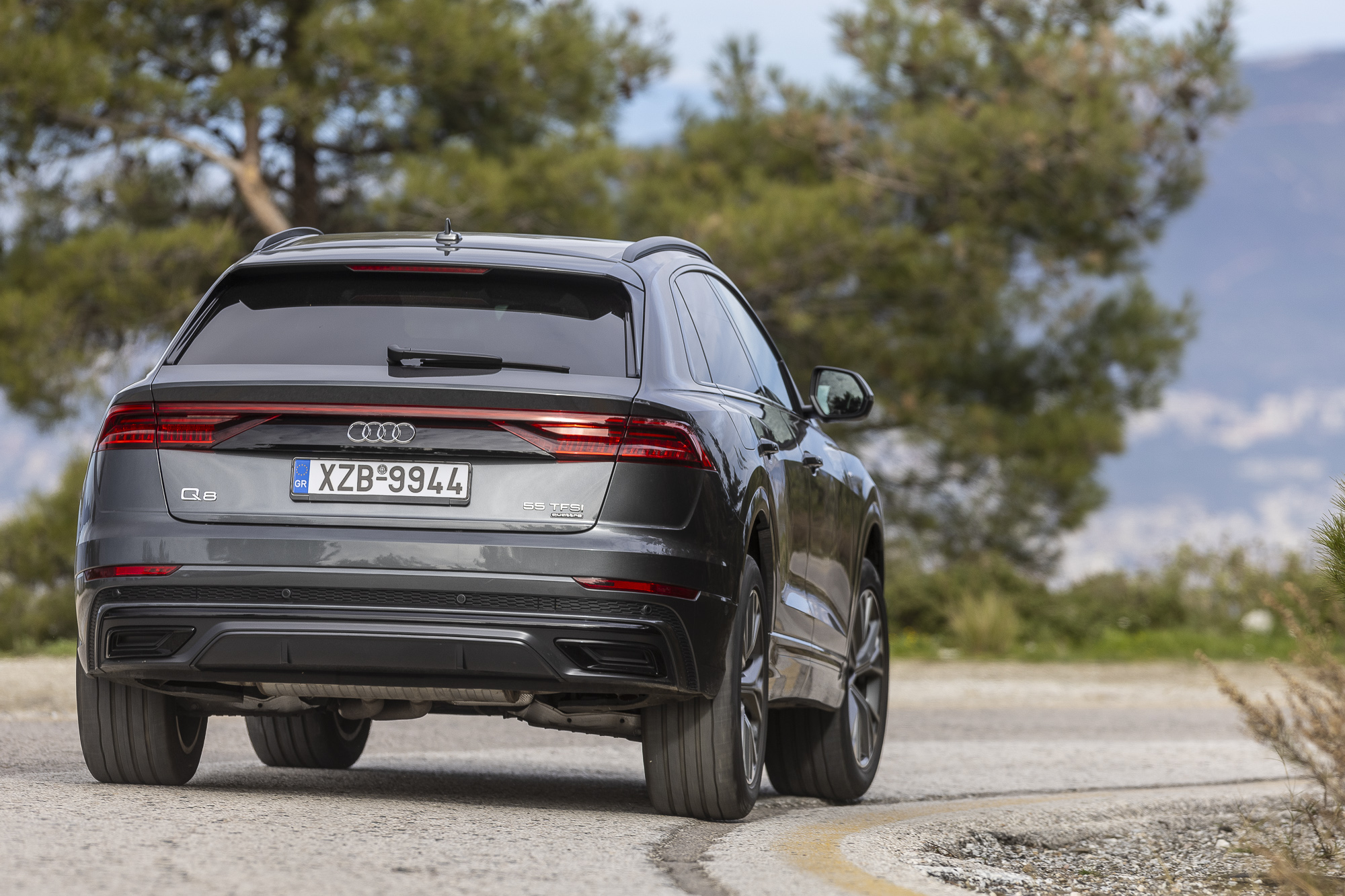 Audi Q8 55 MHEV TFSI quattro tiptronic