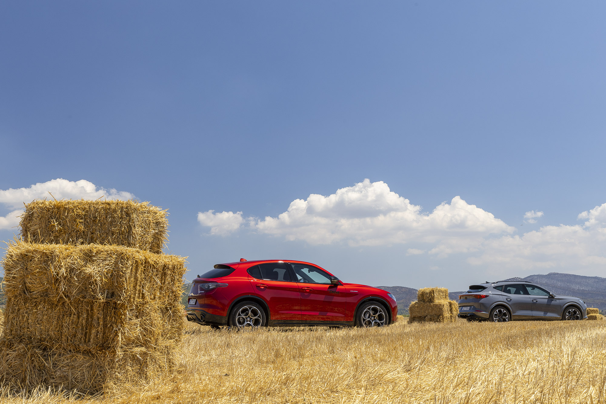 SUV, Alfa Romeo Stelvio & CUPRA Formentor