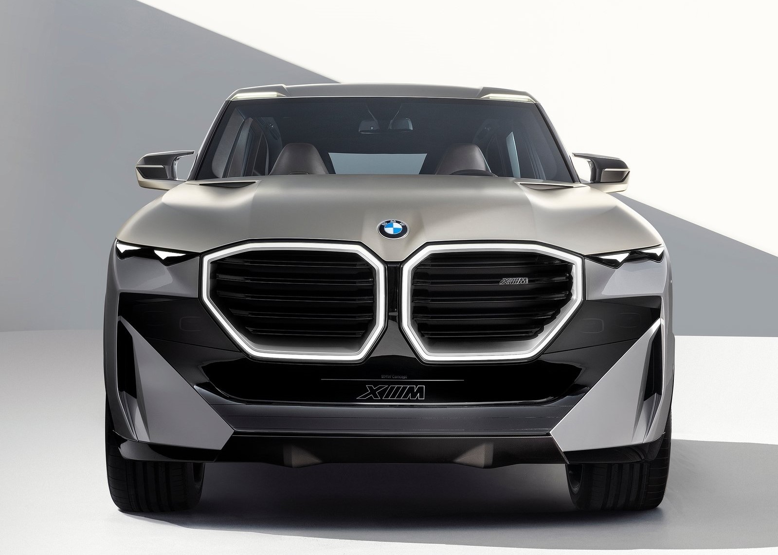 BMW XM gidney grill