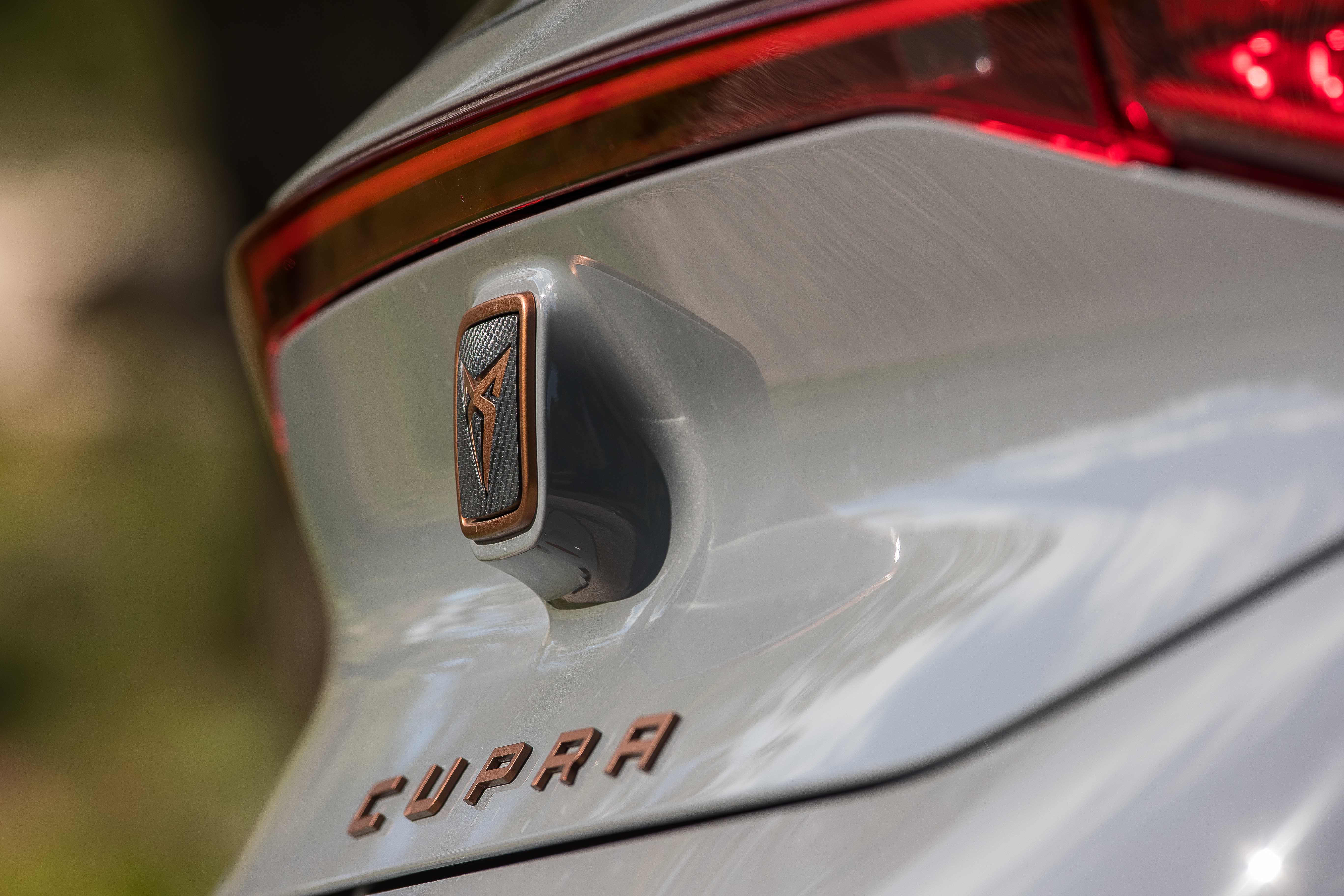 Cupra rear detail