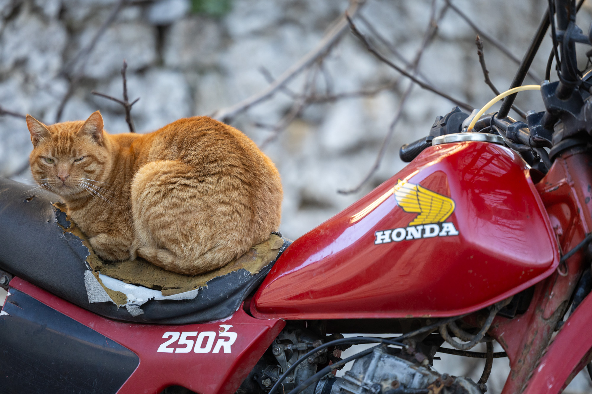 Dacia Bigster Hybrid 155, Λεωνίδιο, Photo © DRIVE Media Group/Thanasis Koutsogiannis