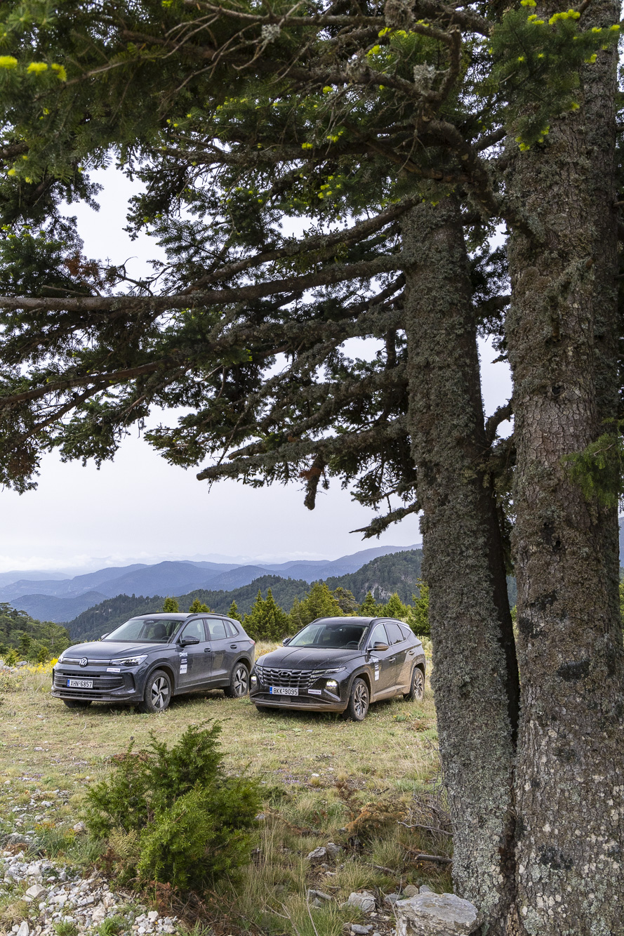 22th DRIVE Trophy, Parnon Mountain 2024, Photo © DRIVE Media Group/Thanassis Koutsogiannis
