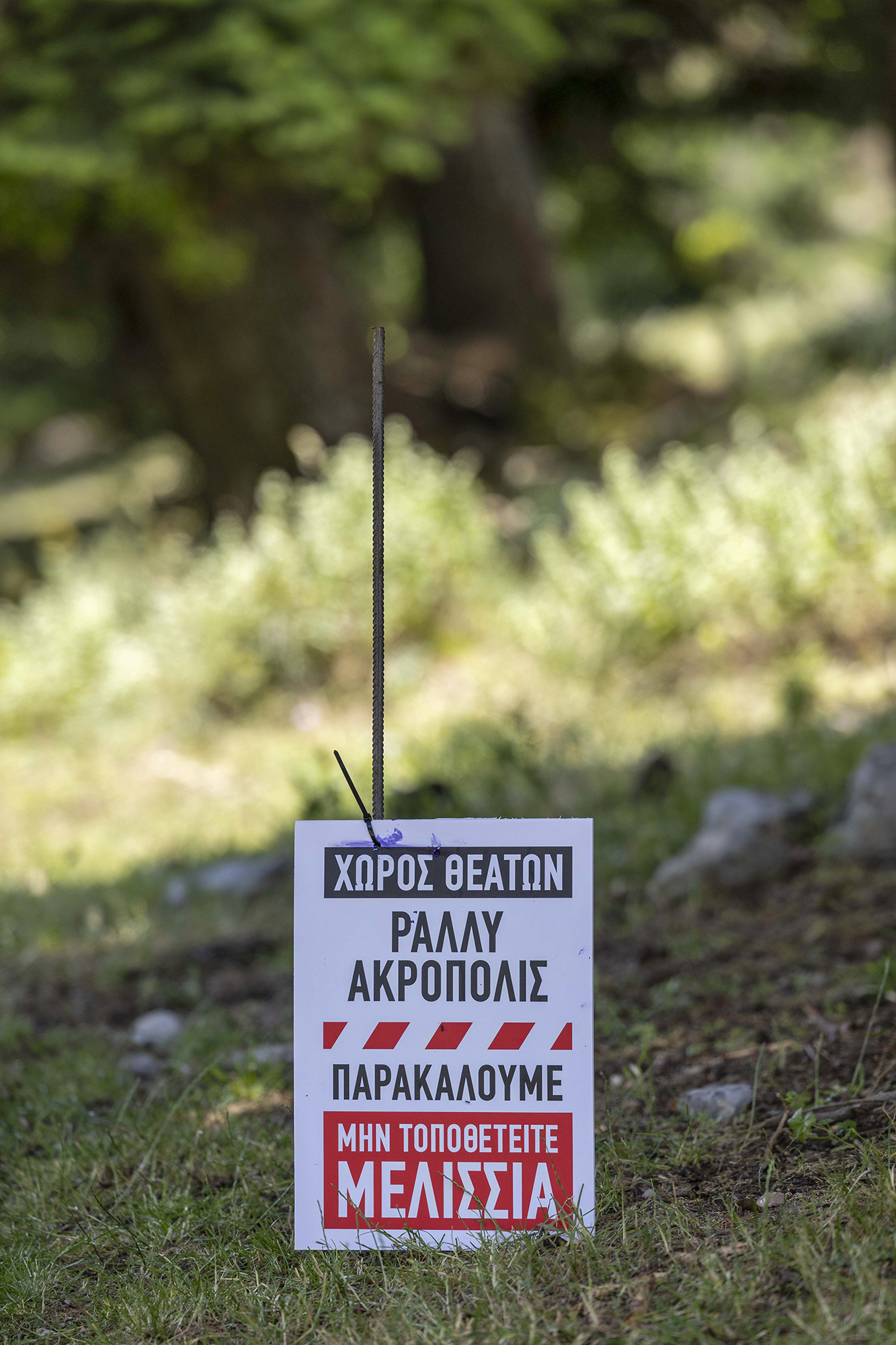 ΕΚΟ Ράλλυ Aκρόπολις 2025, Photo © DRIVE Media Group/Thanassis Koutsogiannis