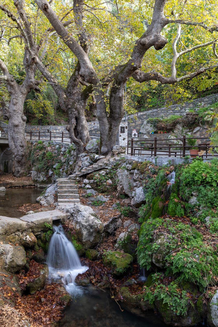 Ford Puma Gen-E Εύβοια, Photo © DRIVE Media Group/Thanasis Koutsogiannis