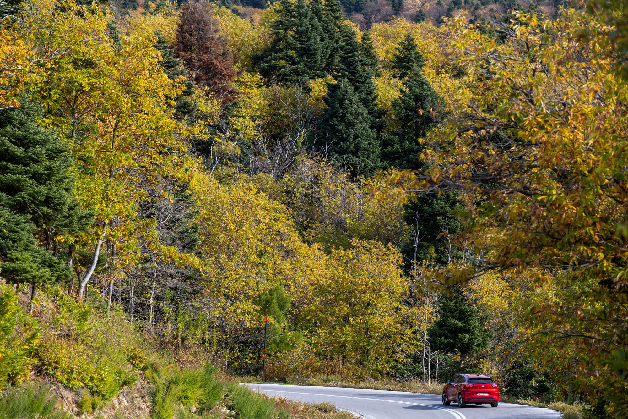 Ford Puma Gen-E Εύβοια, Photo © DRIVE Media Group/Thanasis Koutsogiannis