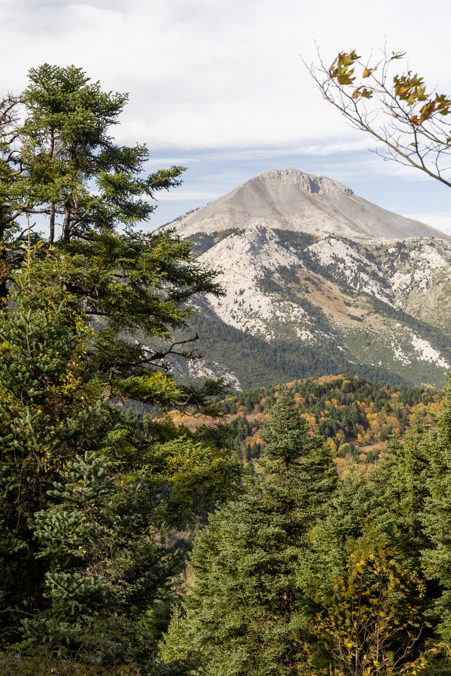 Ford Puma Gen-E Εύβοια, Photo © DRIVE Media Group/Thanasis Koutsogiannis
