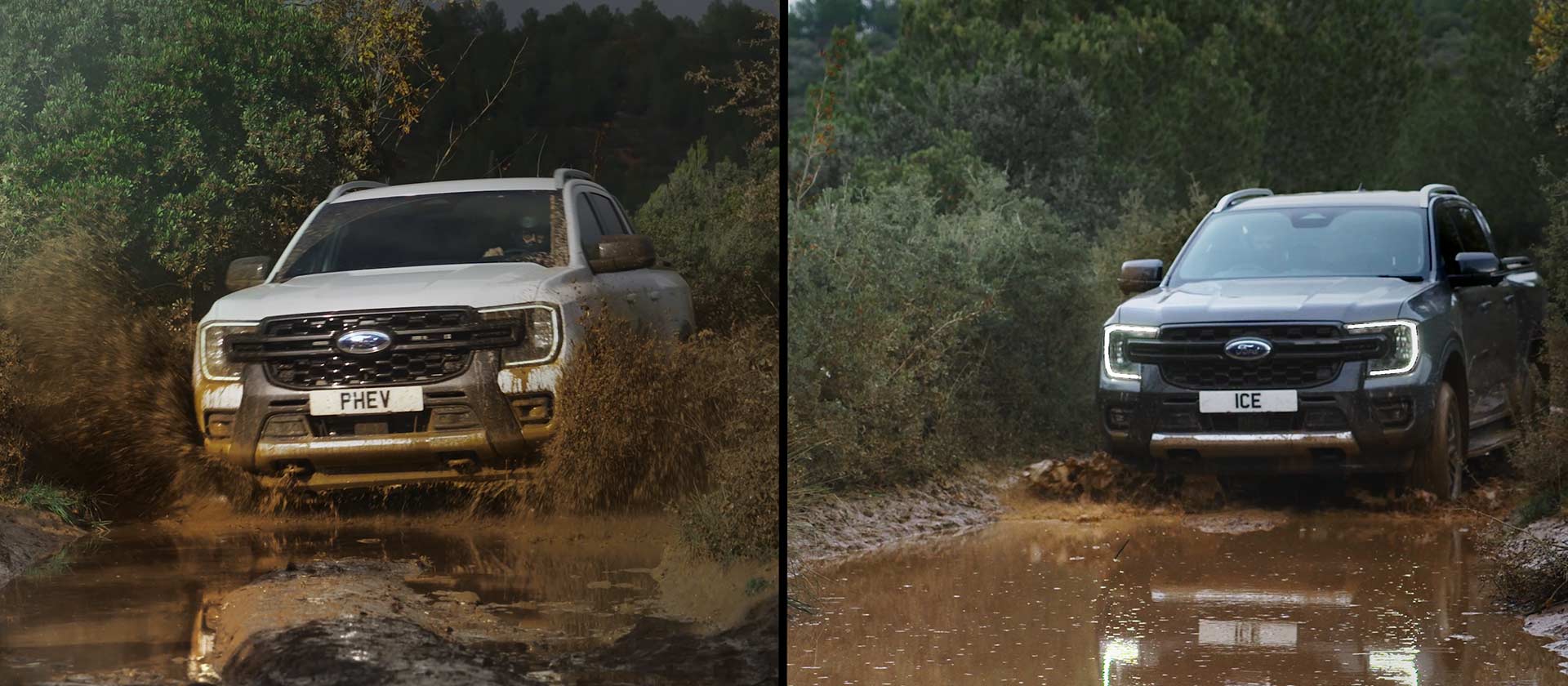 Ford Pro - Ford Ranger
