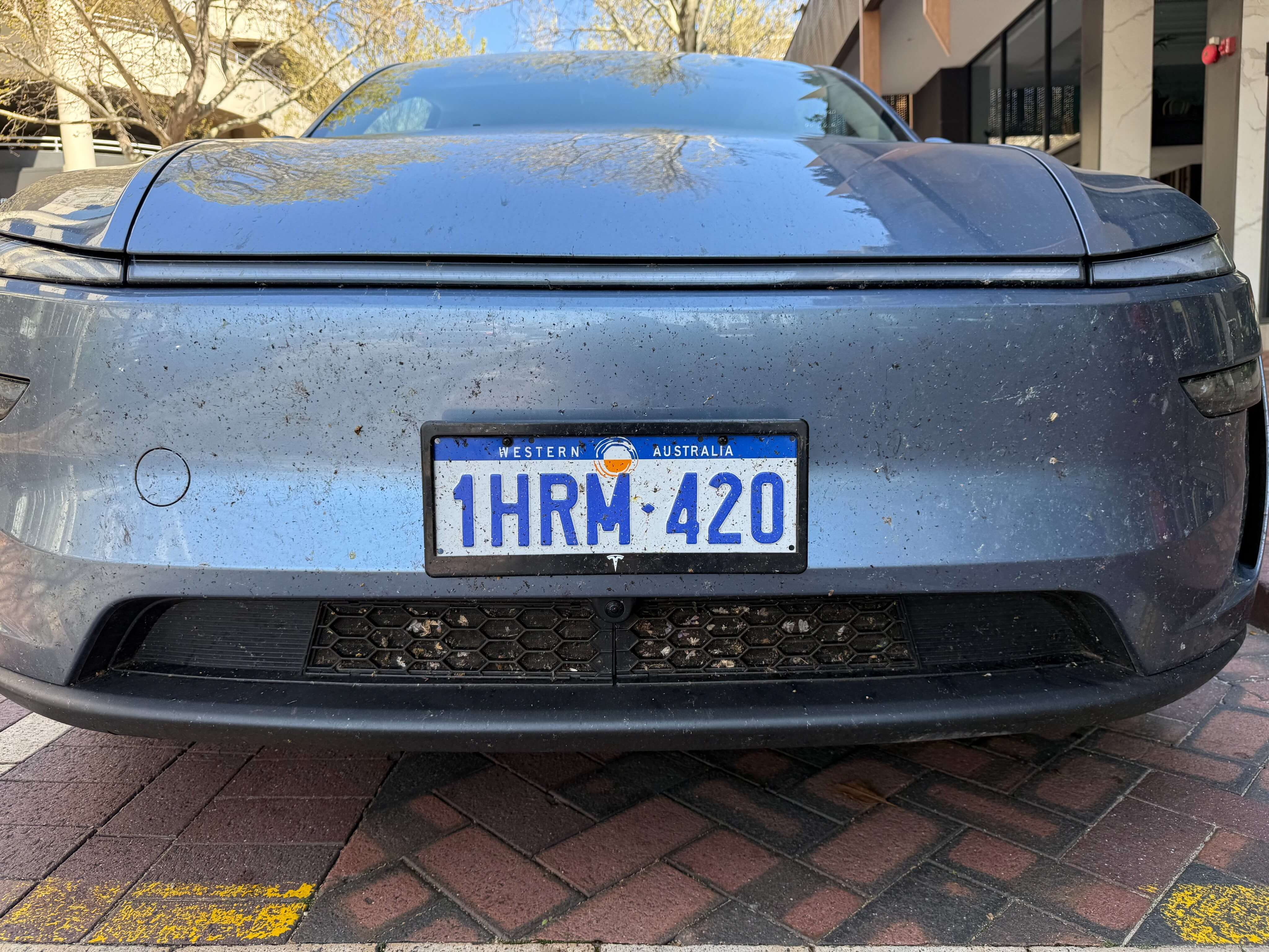 Model Y