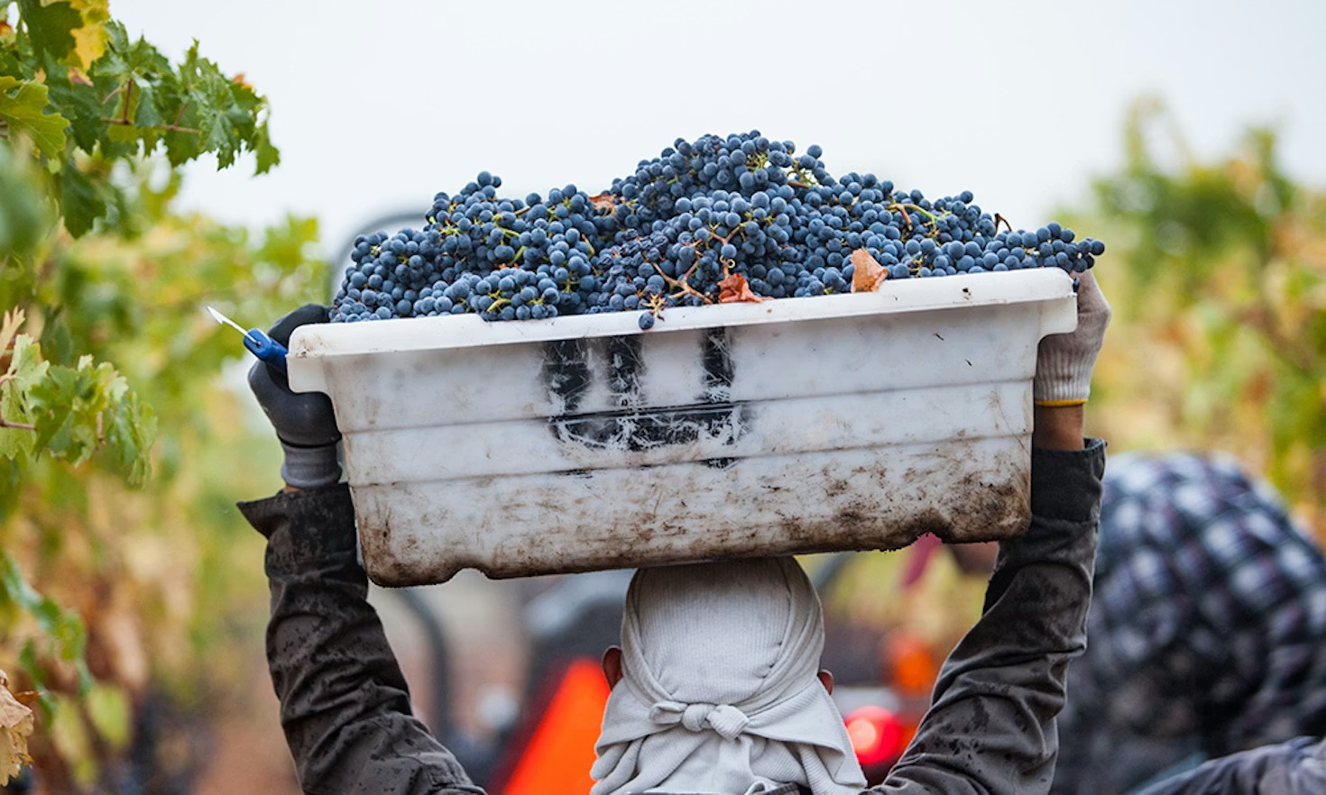 Hyundai X-ble Shoulder