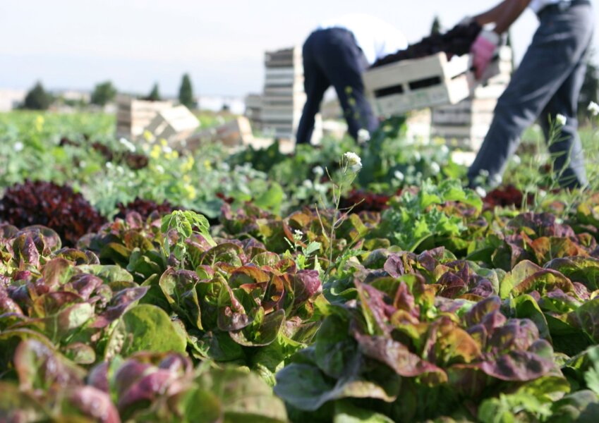 Hyundai X-ble Shoulder