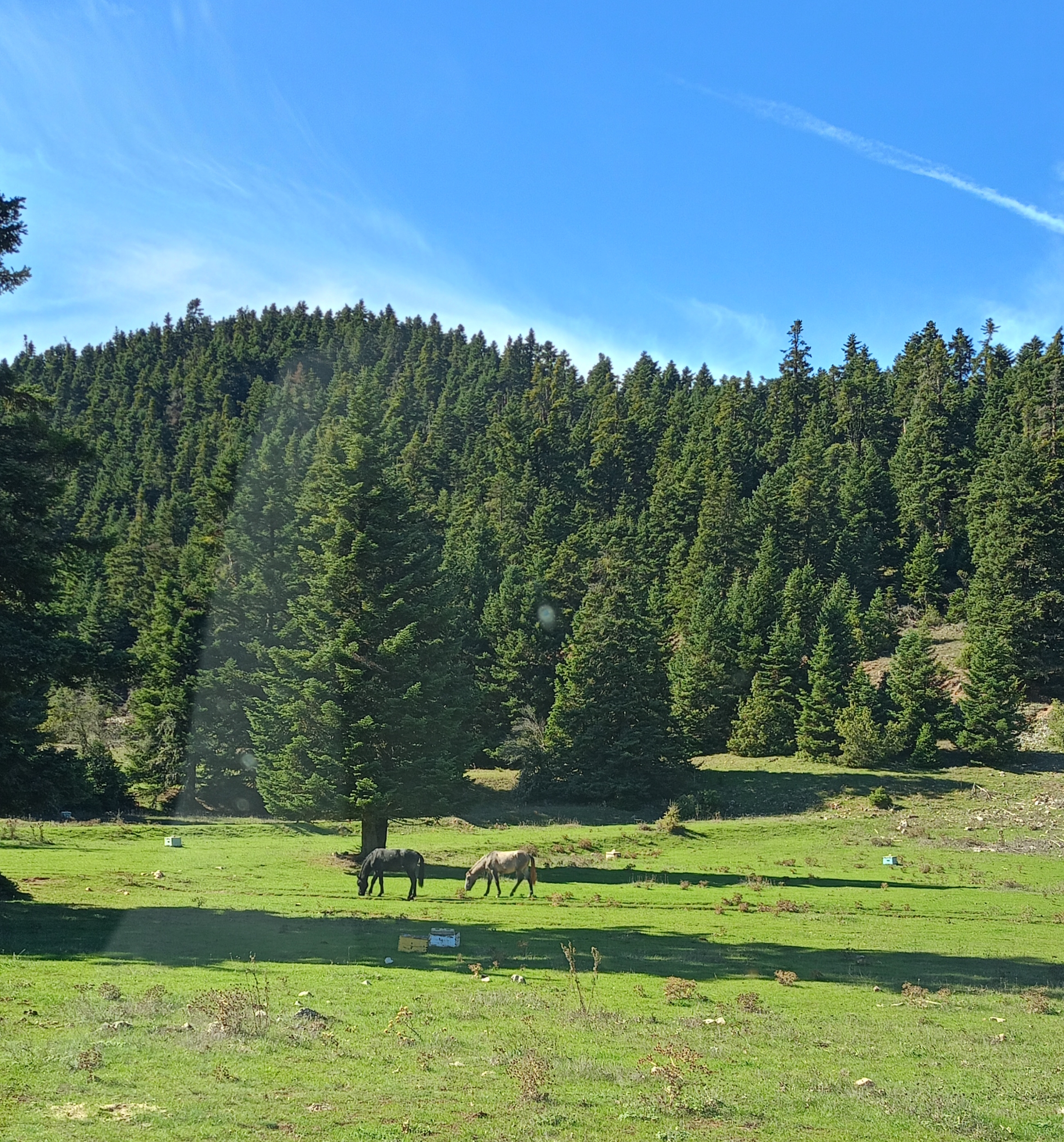 Suzuki Vitara Παύλιανη, Photo © DRIVE Media Group/Thanasis Koutsogiannis