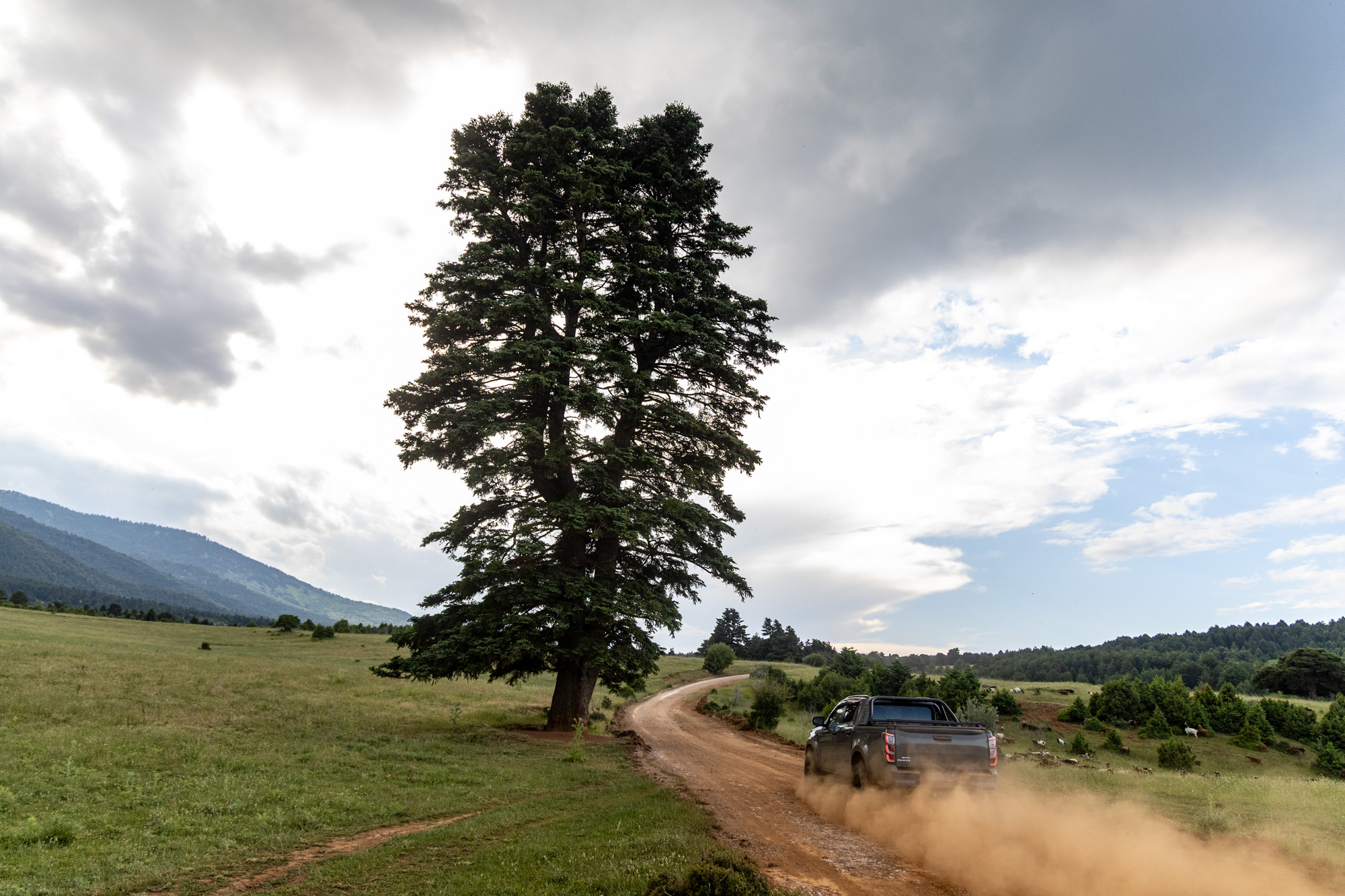 Isuzu D-Max ΕΚΟ Ράλλυ Ακρόπολις 2026, Photo © DRIVE Media Group/Thanasis Koutsogiannis