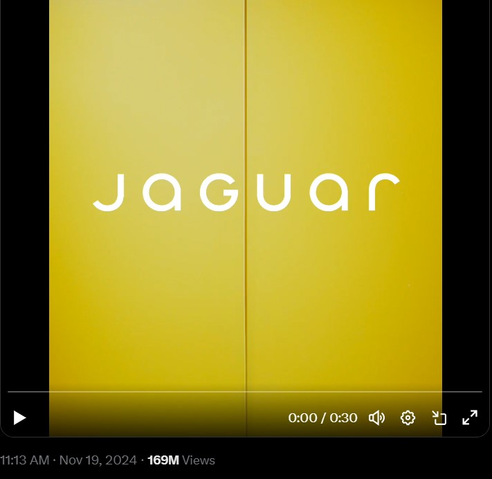 Jaguar Copy Nothing