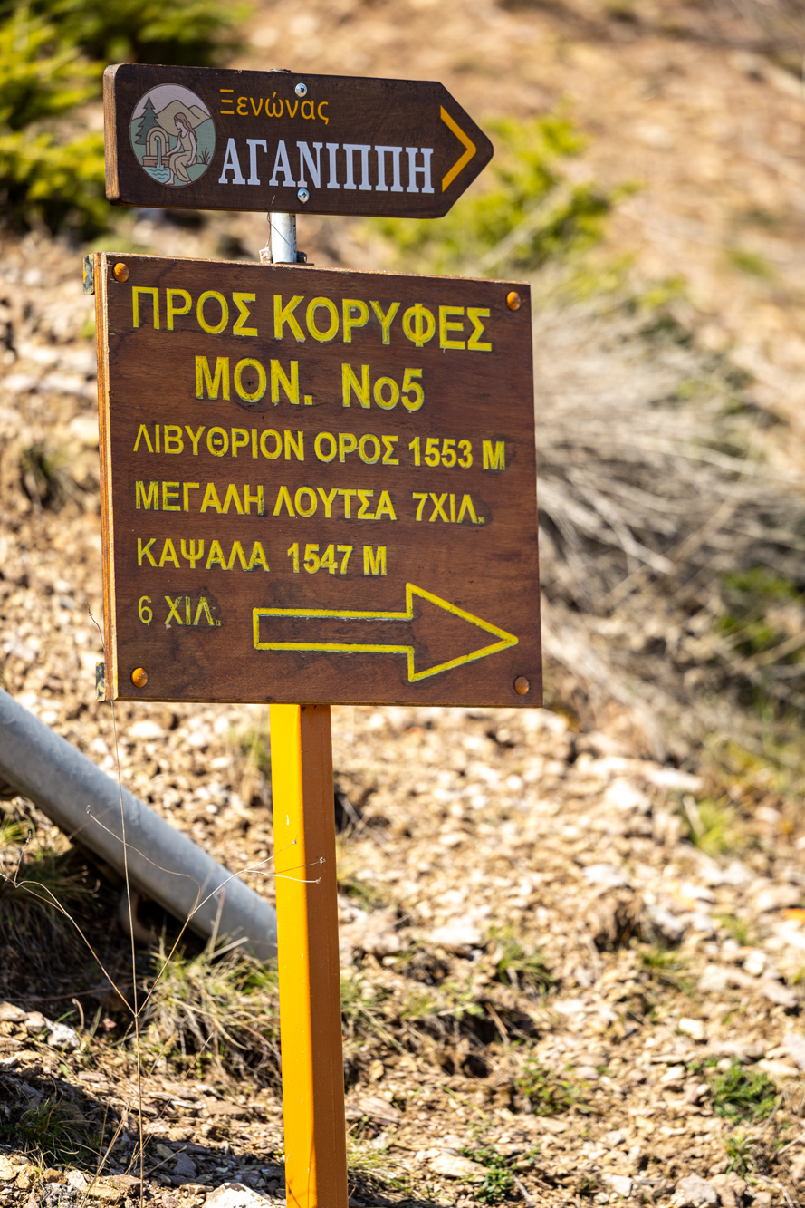 KGM Torres Hybrid, Ελικώνας