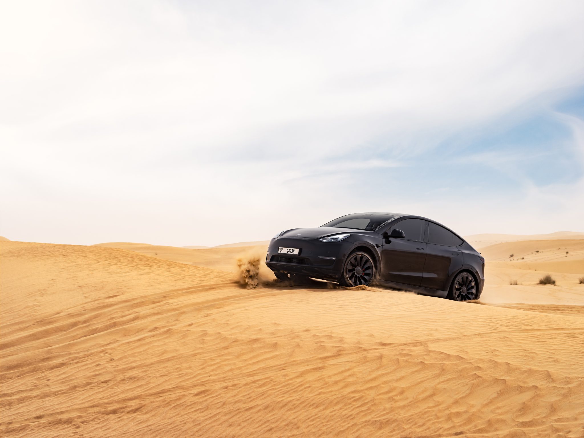 Model Y
