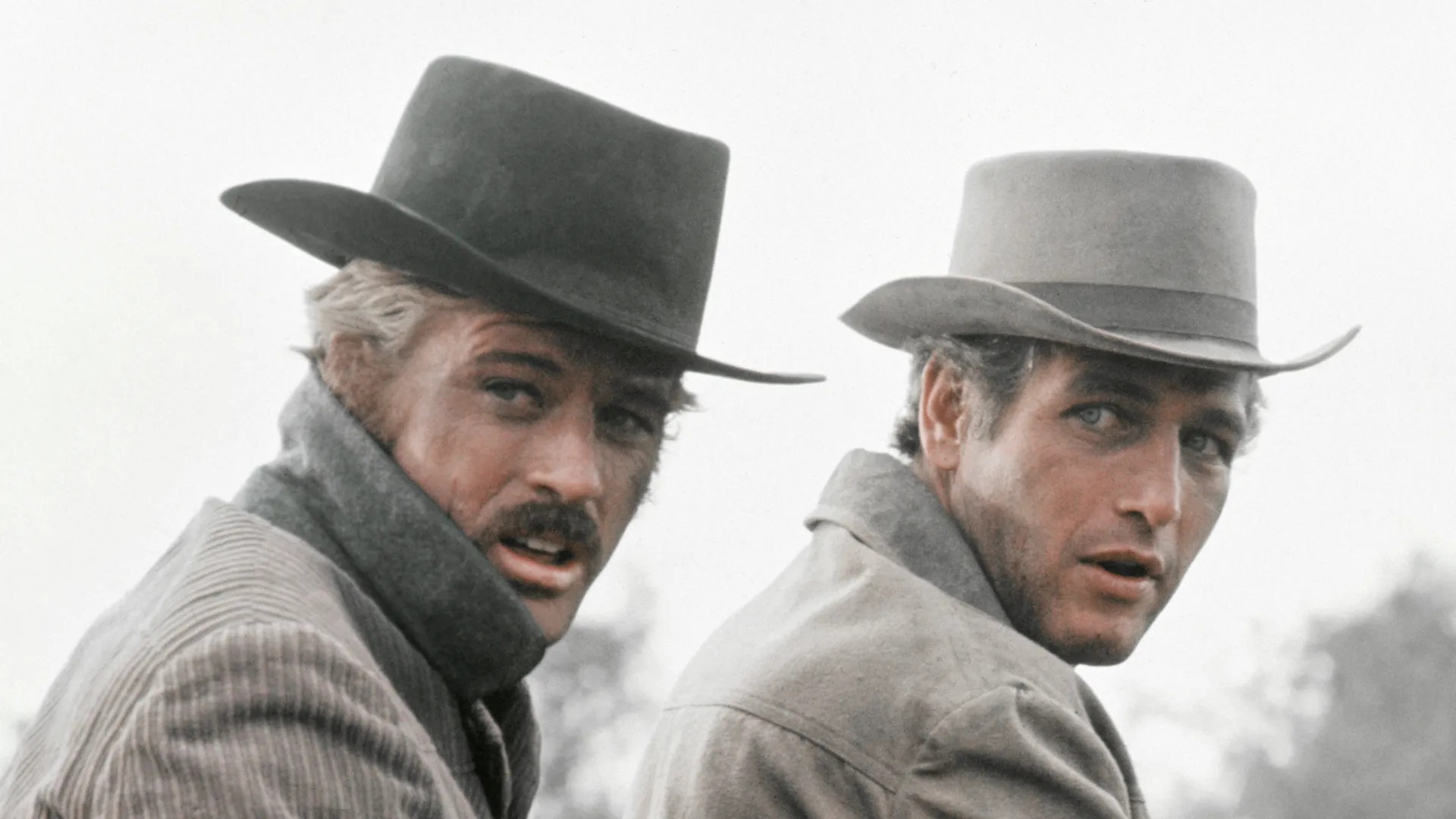 Robert Redford