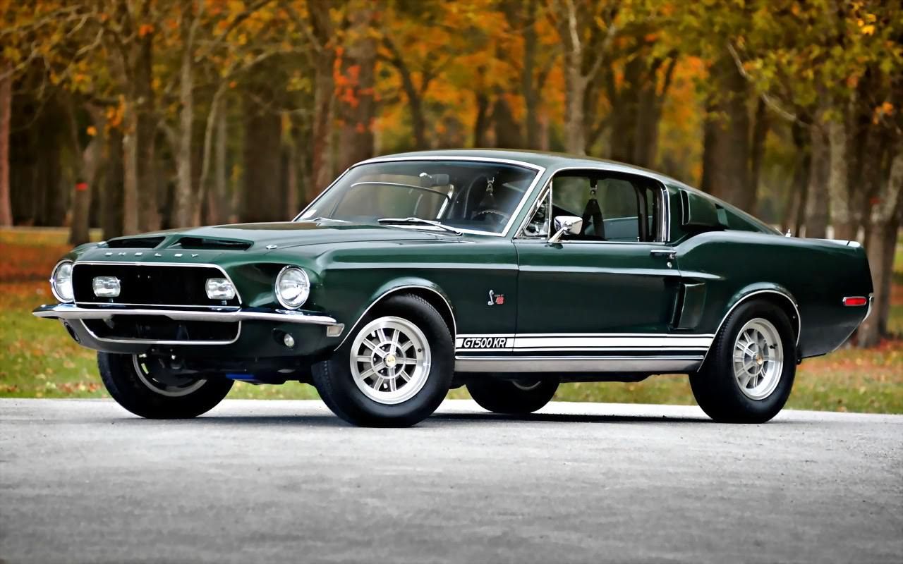 muscle car, Shelby Mustang GT500KR 428 Cobra Jet 1968
