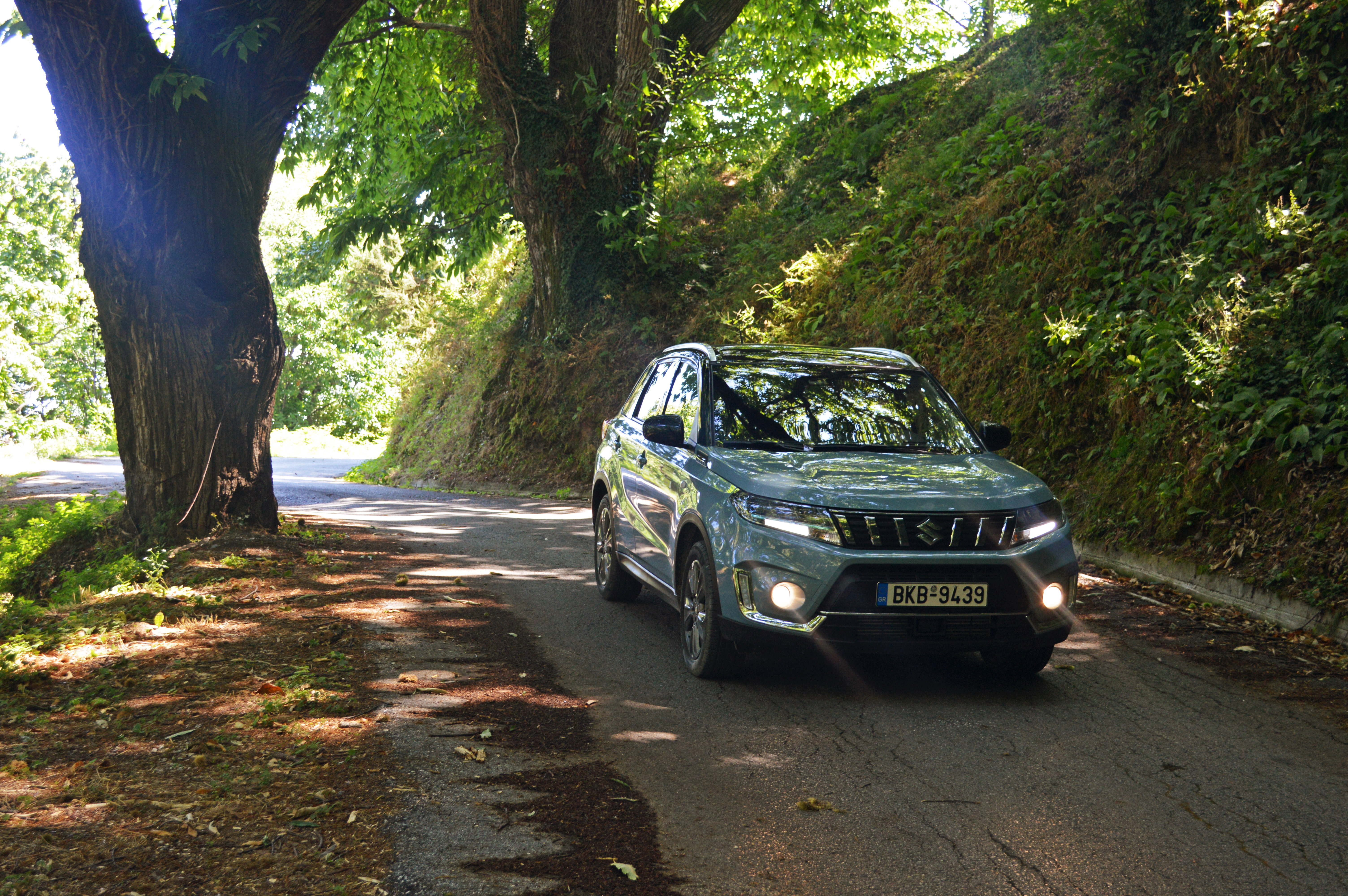 Suzuki Vitara at Pelion