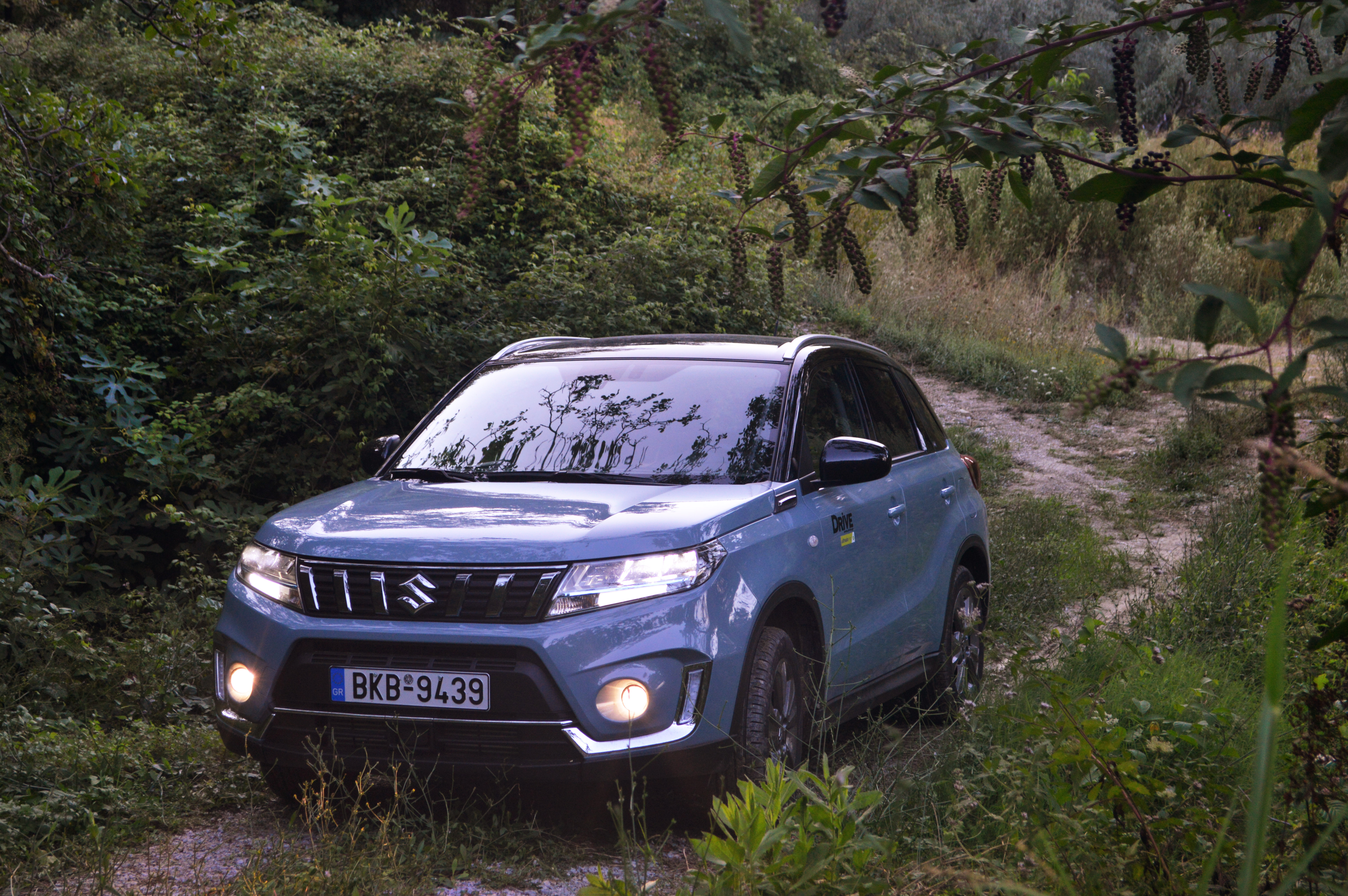 Suzuki Vitara at Pelion