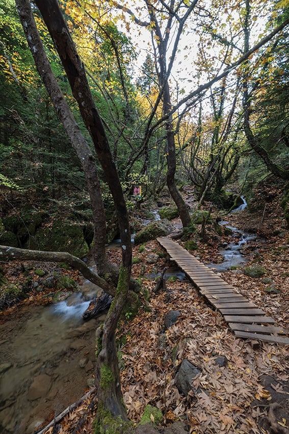 Suzuki Vitara Παύλιανη, Photo © DRIVE Media Group/Thanasis Koutsogiannis