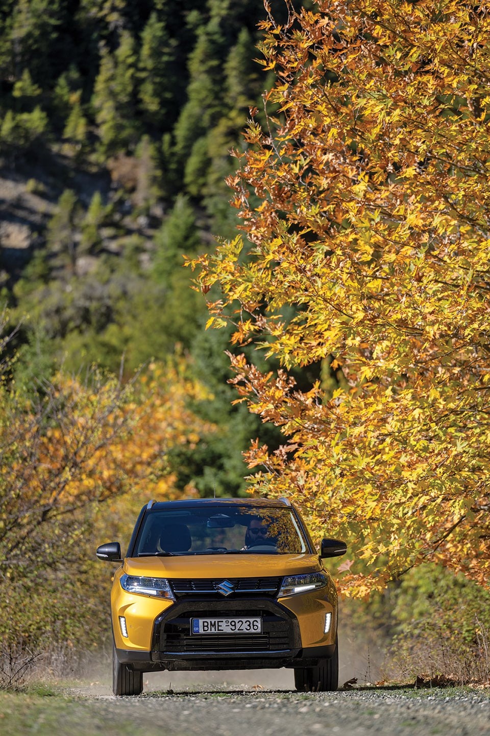 Suzuki Vitara Παύλιανη, Photo © DRIVE Media Group/Thanasis Koutsogiannis