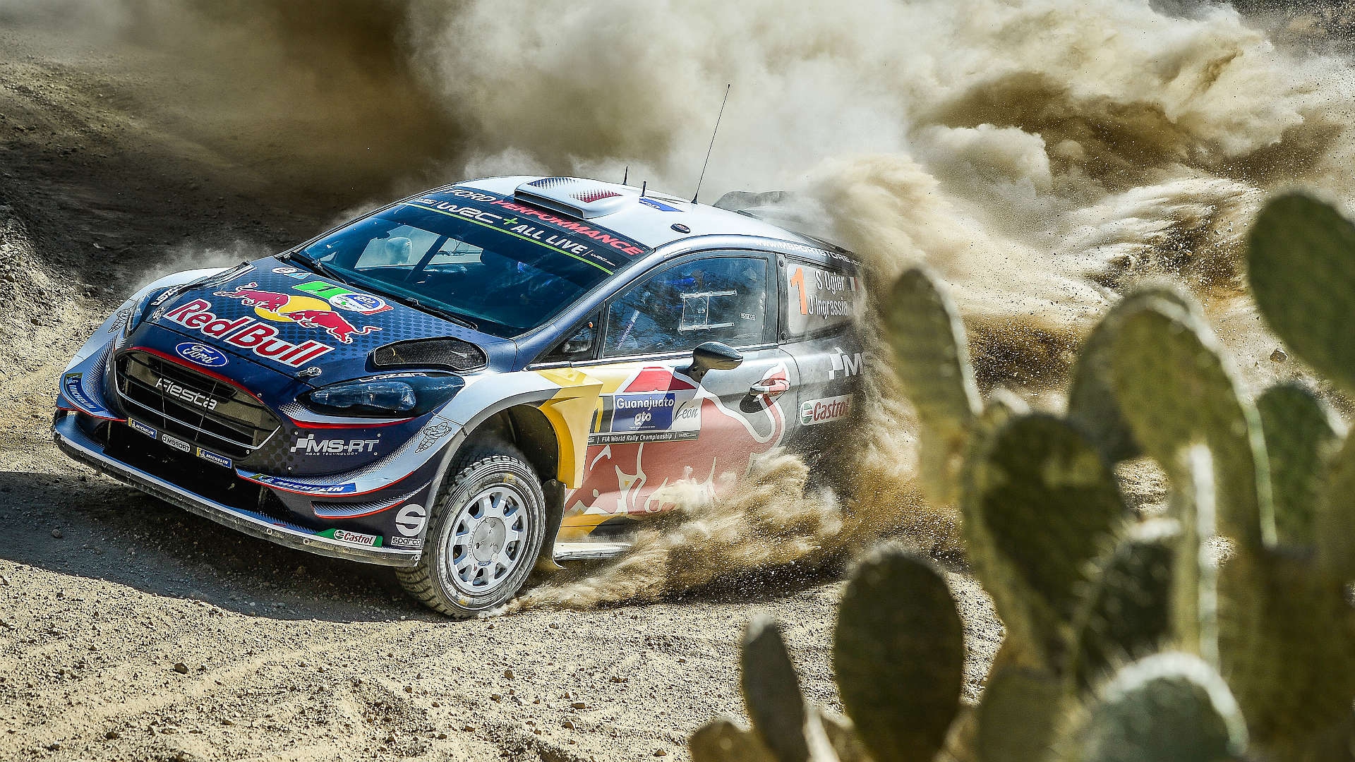 Argentina Ford