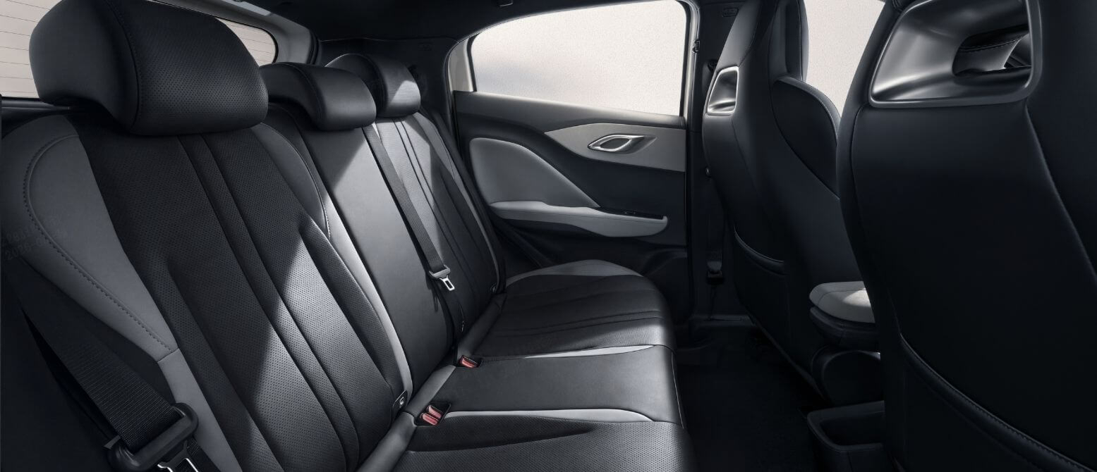 BYD Dolphin Surf