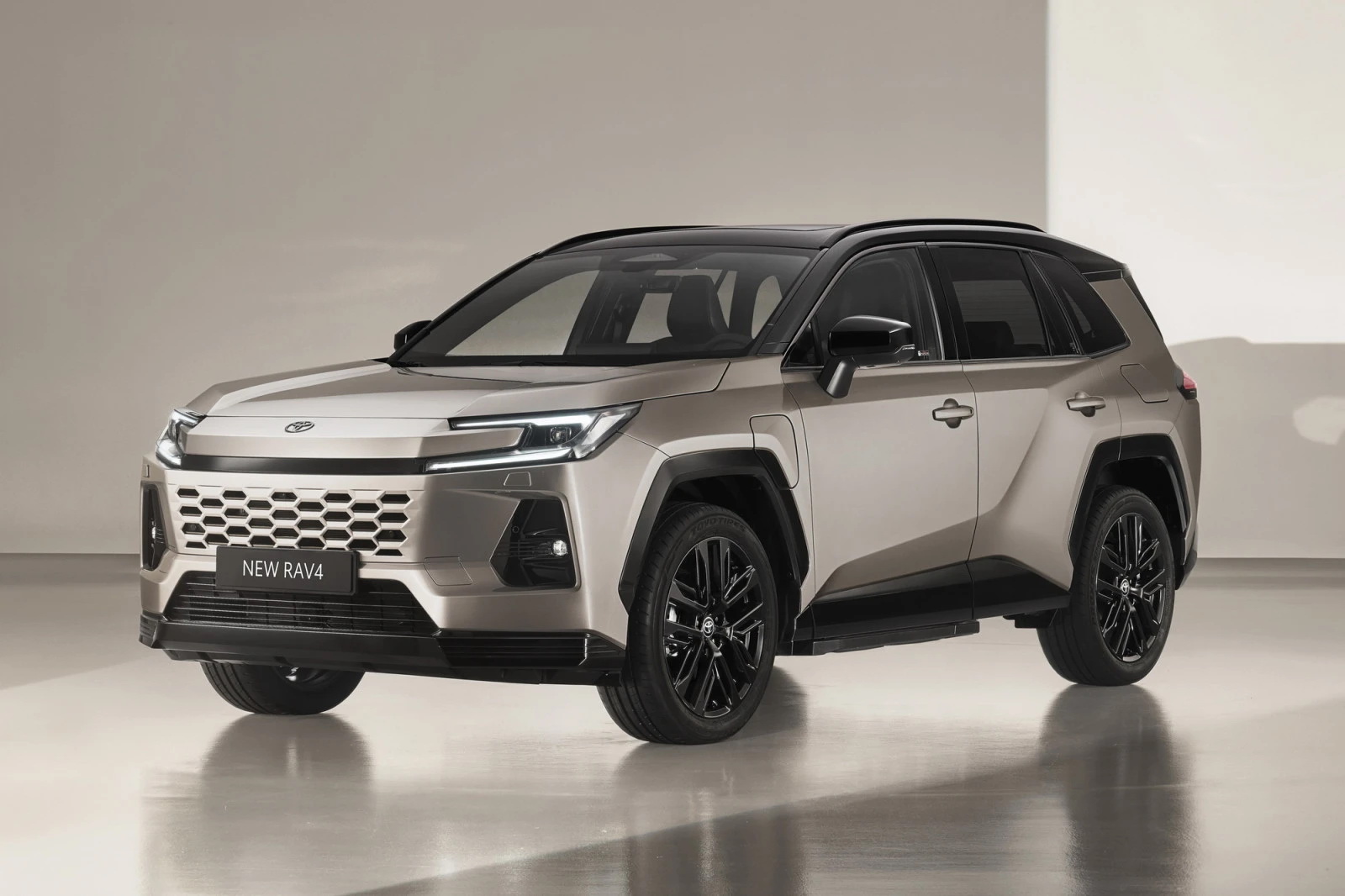 Elon Musk, Toyota RAV4