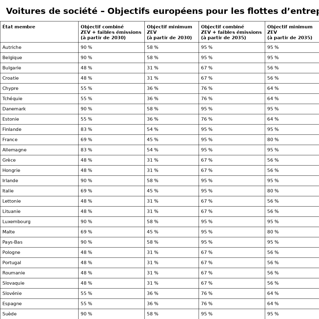 Εταιρικοί στόλοι