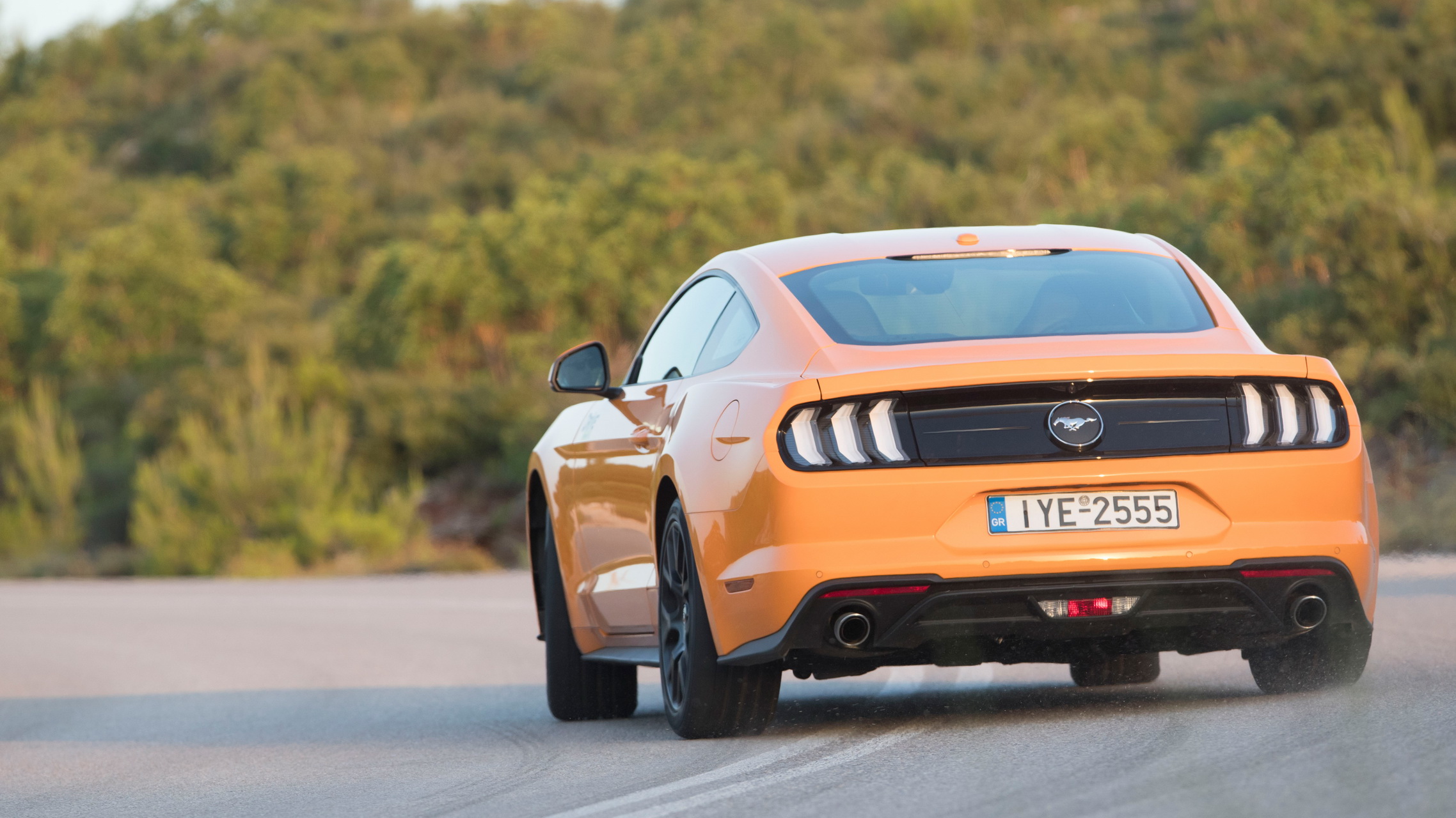 mustang
