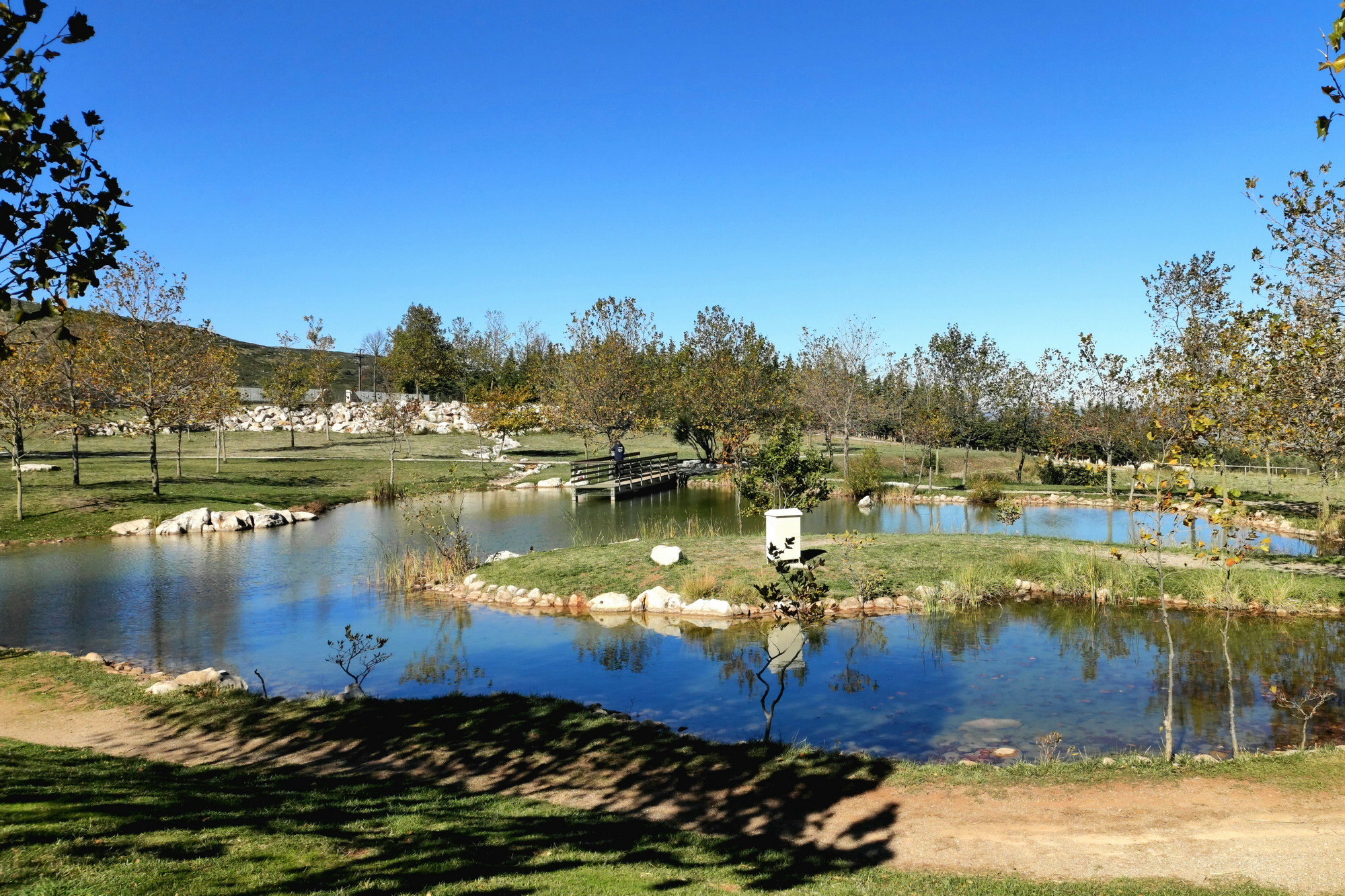 KGM Torres Hybrid, Ελικώνας