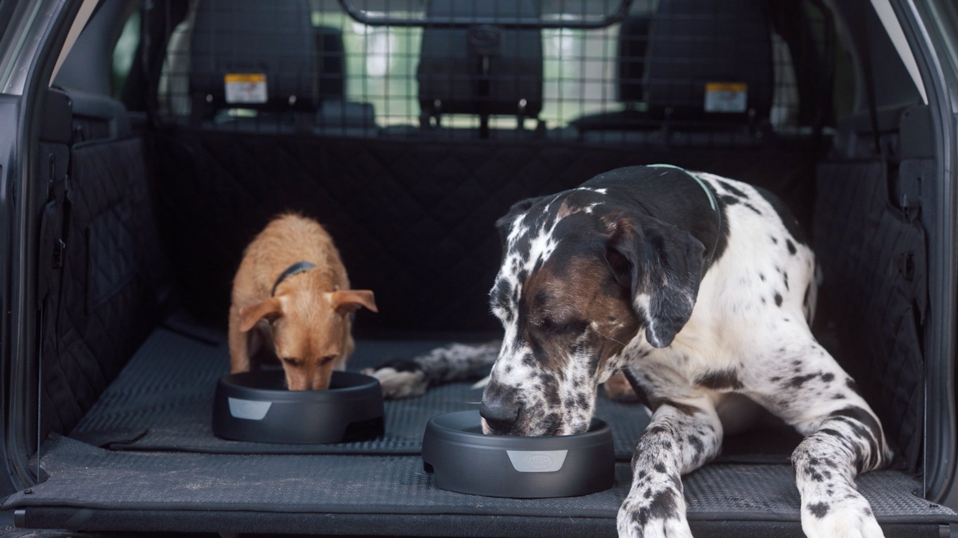 Land Rover Dog Equipment