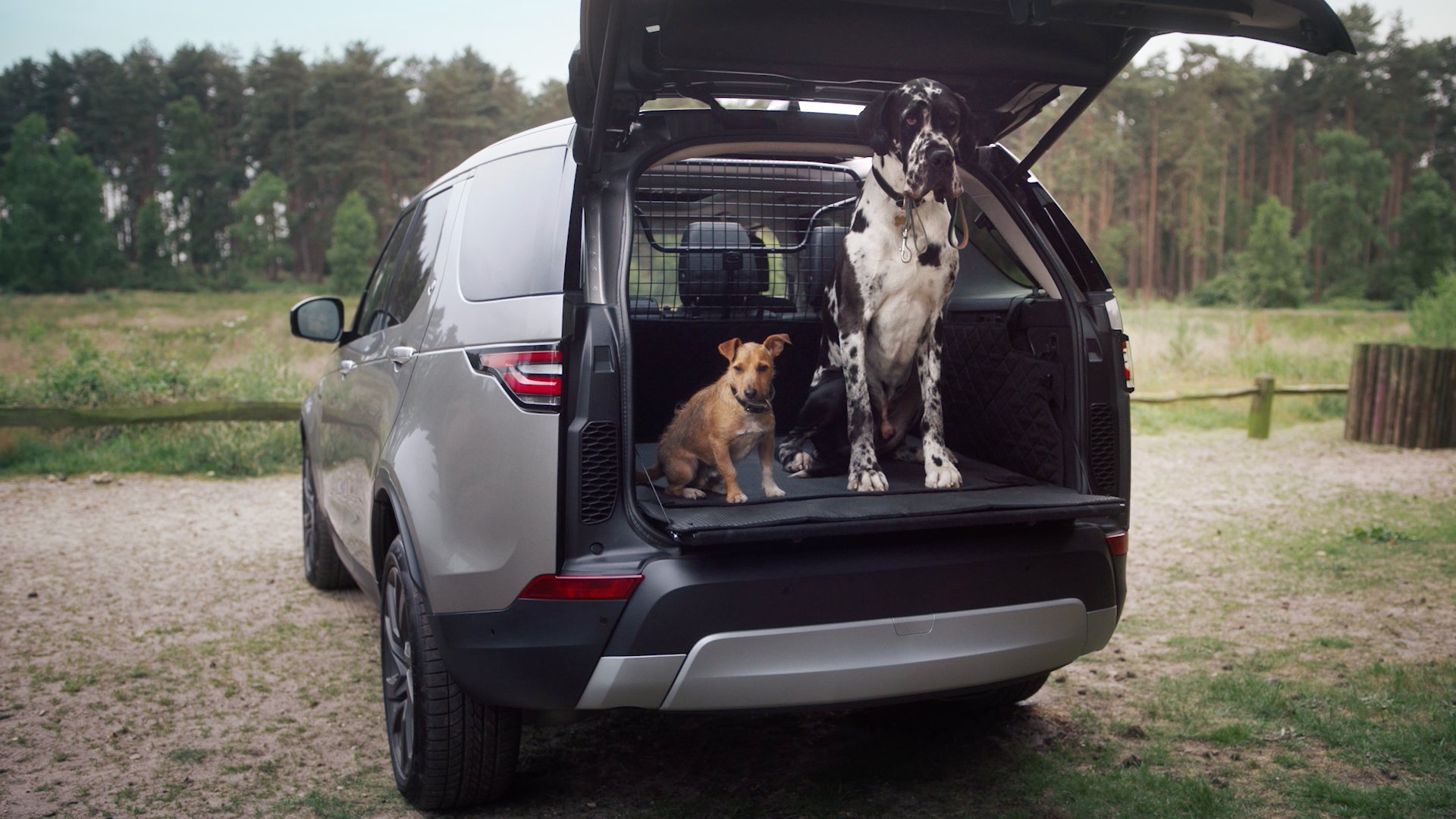 Land Rover Dog Equipment