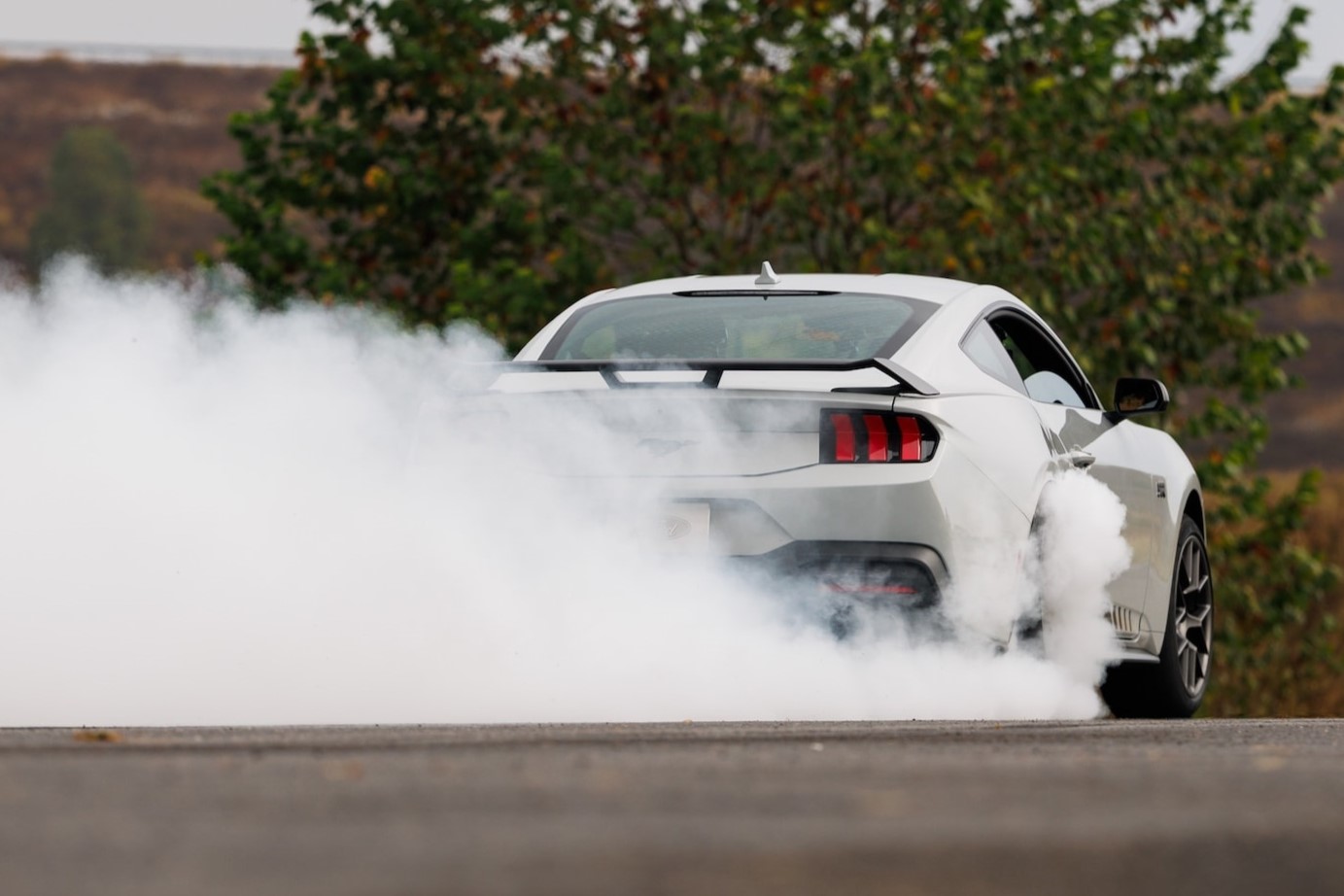 Ford Mustang RTR