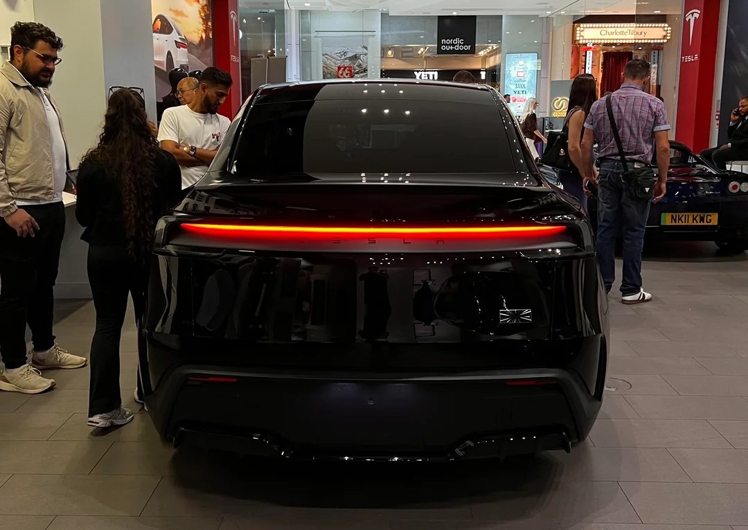 Model Y Performance