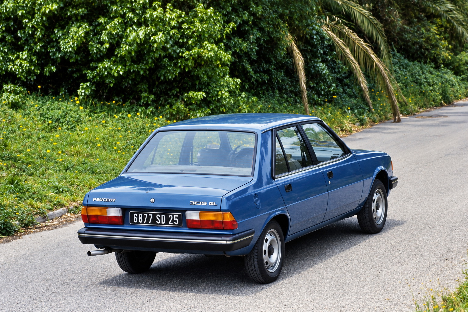 Peugeot 305