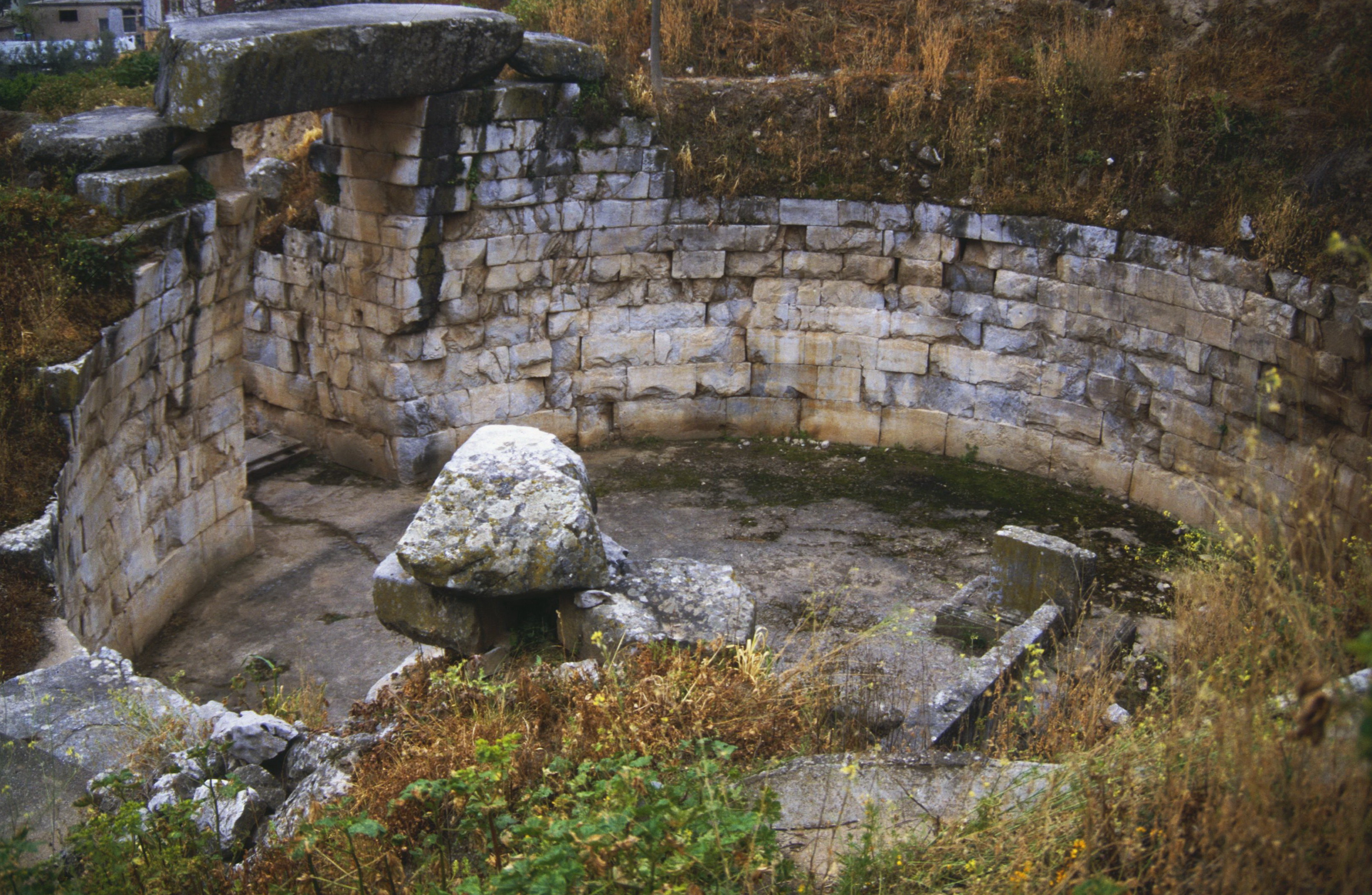 KGM Torres Hybrid, Ελικώνας
