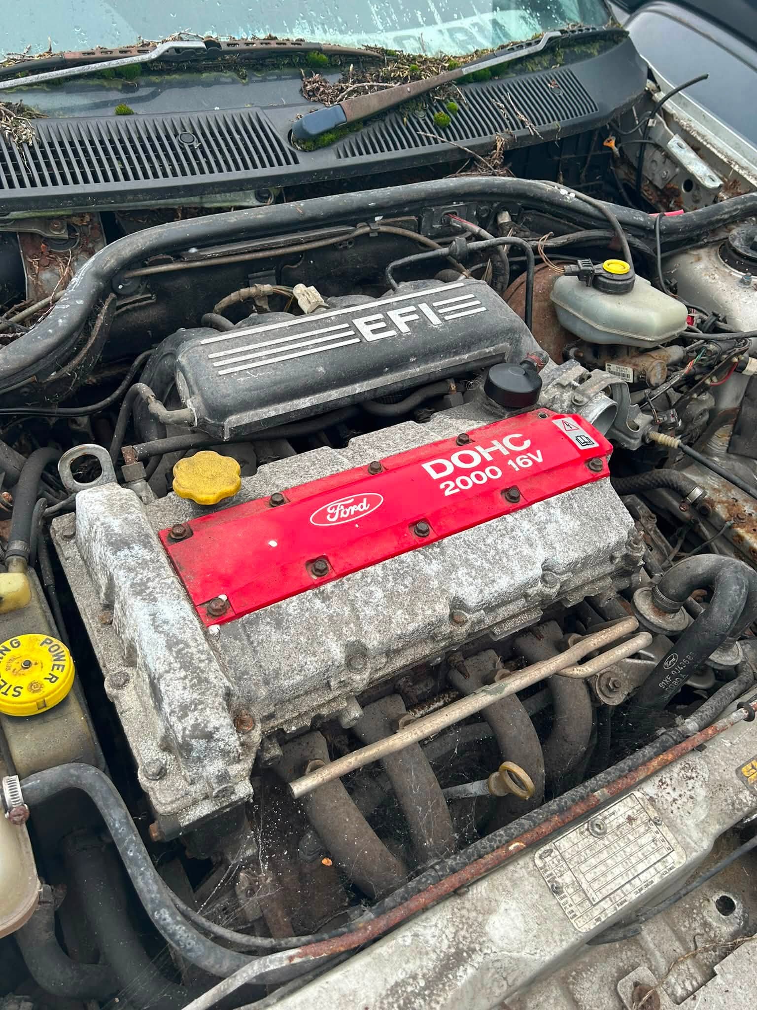 GTI