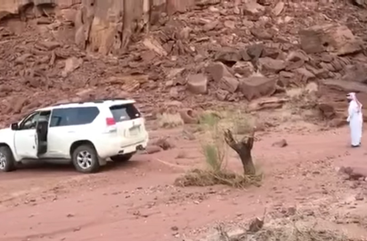 Stump vs Land Cruiser