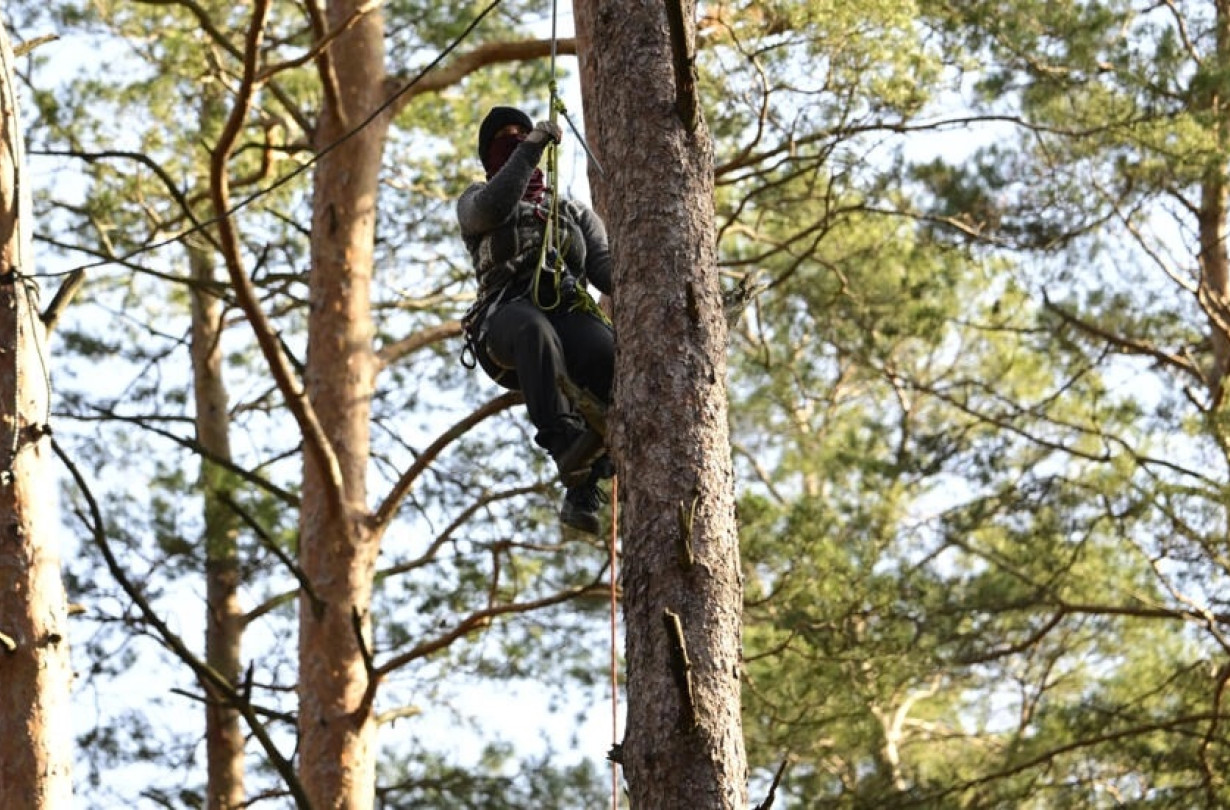 Παράδοξο; Τα ηλεκτρικά αυτοκίνητα βοηθούν το περιβάλλον, επομένως γιατί οι ακτιβιστές στέκονται απέναντι στην Tesla; Tesla