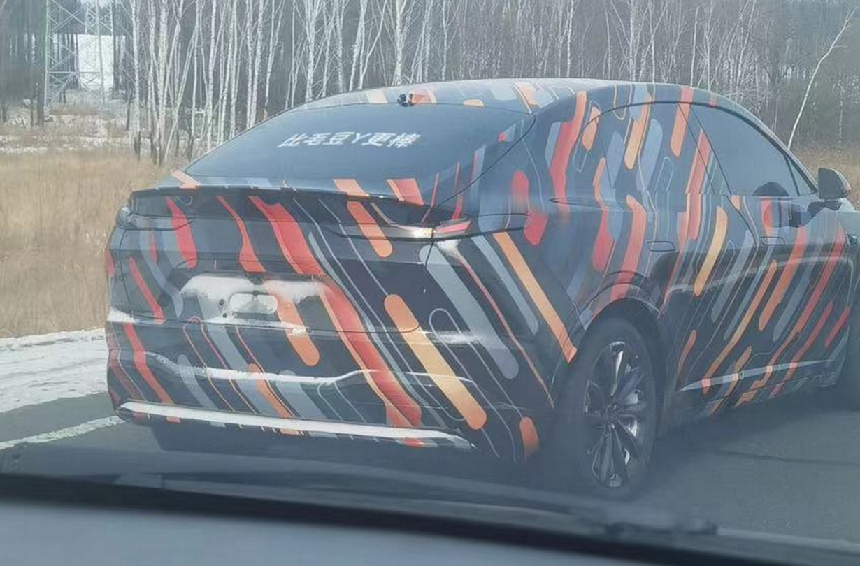 Model Y