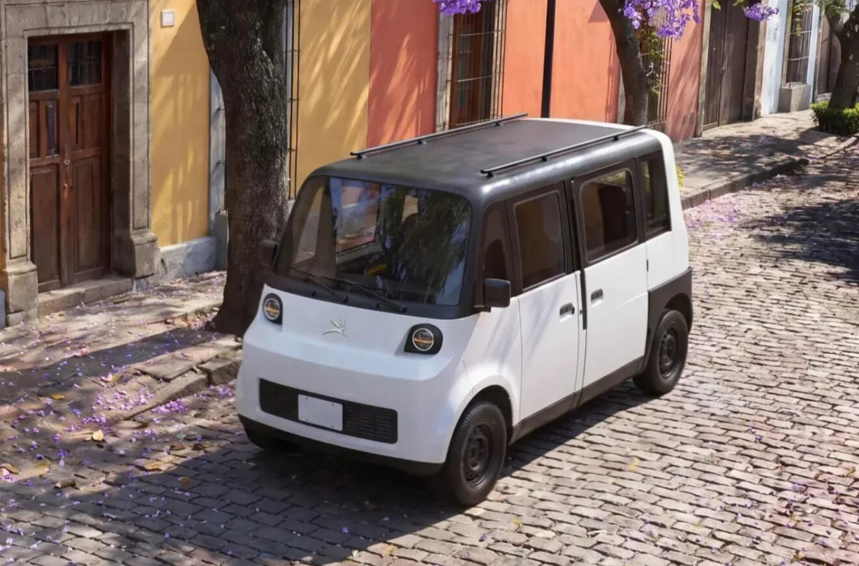 Olinia Uno