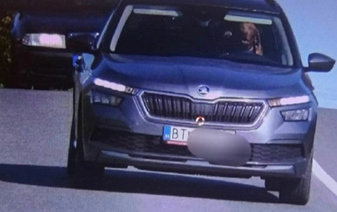 Ο οδηγός του Škoda ισχυρίστηκε πως ο σκύλος πήδηξε στην αγκαλία του δευτερόλεπτα πριν περάσουν από το σημέιο που βρισκόταν το ραντάρ Dog Driver Skoda