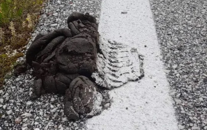 Διαγράμμιση